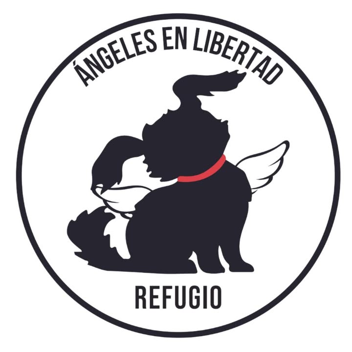 Logo Ángeles en Libertad