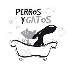 Logo Fundación Perros y Gatos